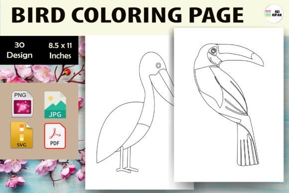 Bird Coloring Pages for Kids 3 - KDP
