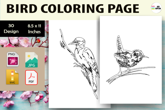 Explore Bird Coloring Page for Kids 2 - KDP