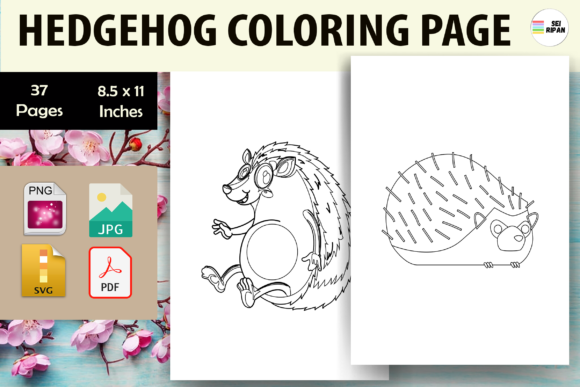 Hedgehog Coloring Pages for KDP Business